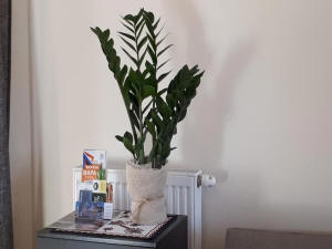 TATRA CHATA кватэры ў Закопанскіх Татрах адпачываюць у Польшчы 06